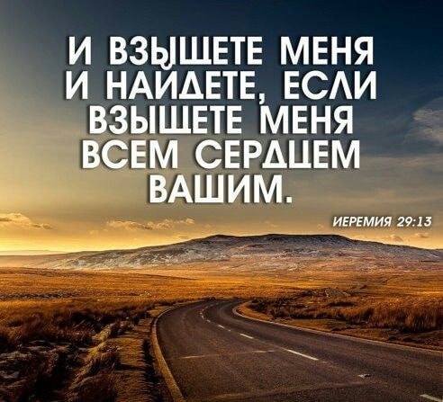 27817512_n.jpg