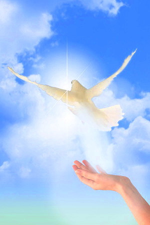 reiki_peaceful_spirit_dove.jpg